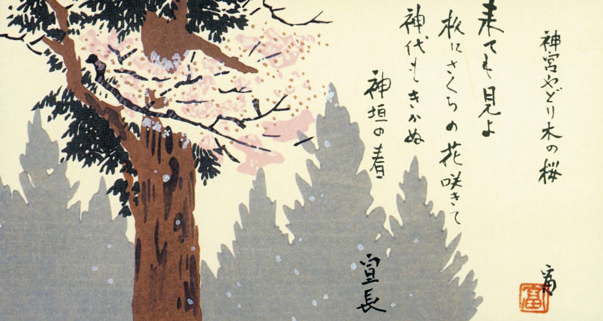神宮やどり木の桜